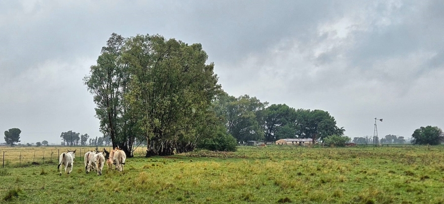 Commercial Property for Sale in Bloemfontein Rural Free State